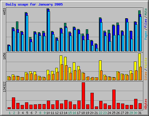 Daily usage for January 2005