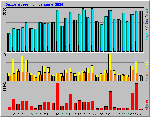 Daily usage for January 2024