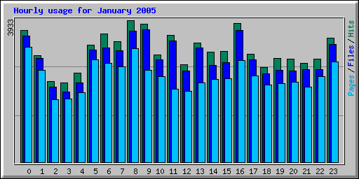 Hourly usage for January 2005