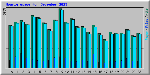 Hourly usage for December 2023