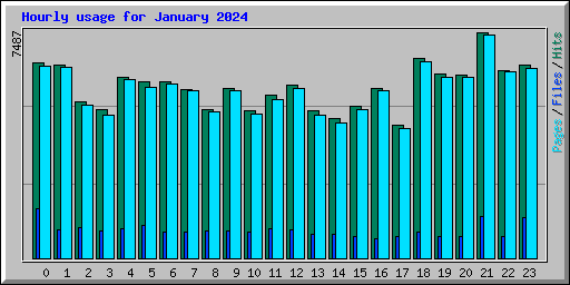 Hourly usage for January 2024