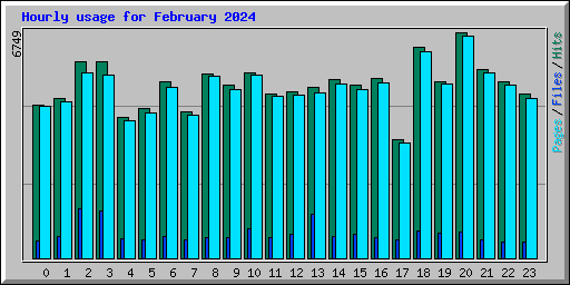 Hourly usage for February 2024