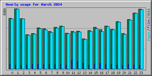 Hourly usage for March 2024