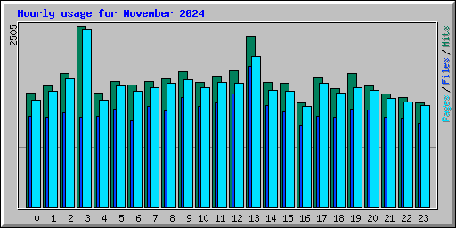 Hourly usage for November 2024